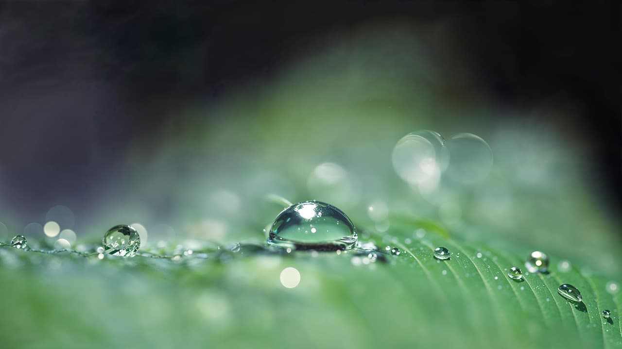 leaf, dewdrops, green, spherical, close-up, light, bokeh, reflections, refractions, freshness, macro, nature [pid:8687801]