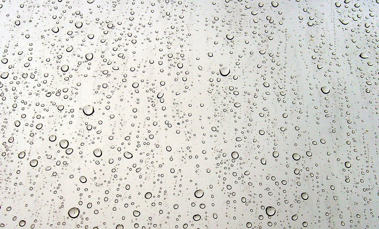 gout, rain, window, raindrops, water drop, water, nature, rain, rain, rain, rain, rain, water drop, water drop [pid:677908]