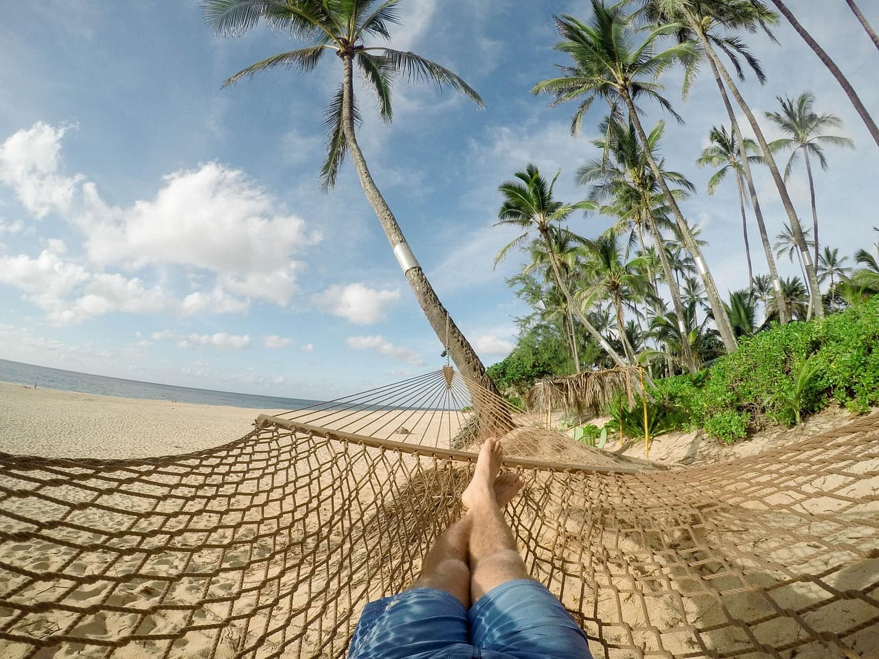 beach, nature, hammock, blue sky, clouds, palm trees, rest, relaxation, holiday, vacation, tropical island, coconut trees, island, leisure, palm, recreation, resort, sand, sea, seashore, summer, travel, tropical [pid:1868047]