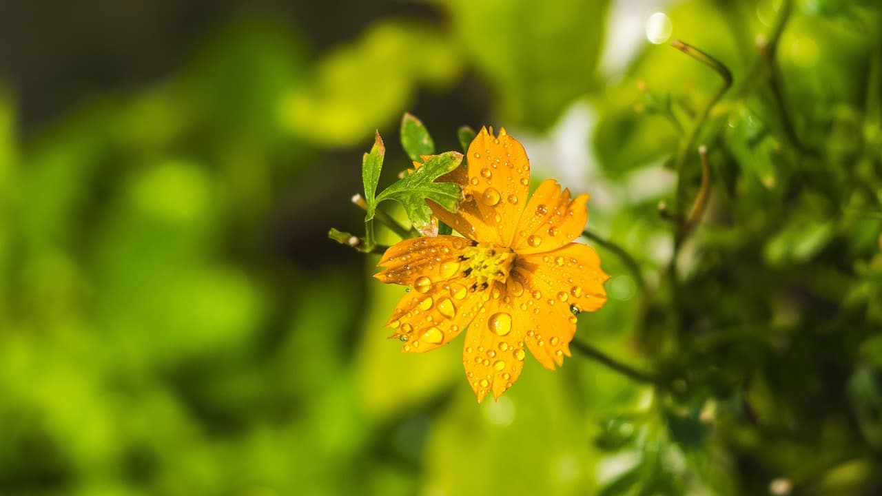 yellow, green black, black, blue, painter, colorful, red, creation, children, watercolor, pink, green, brush, white, color, nature, spring, business, purple, paper, logo, paint, design, smoke, course, job [pid:4763988]