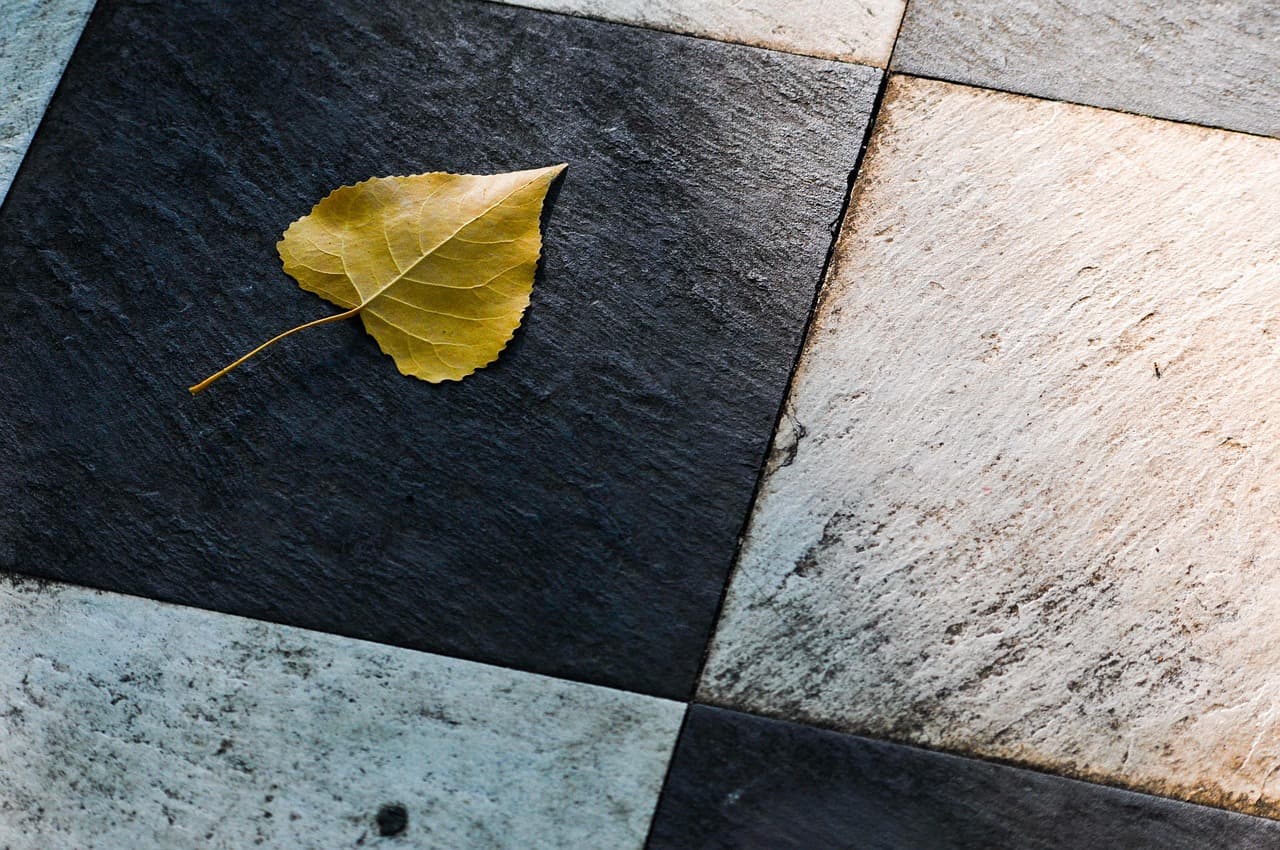leaf, tiles, floor, autumn, nature, tiles, tiles, tiles, tiles, floor, floor, floor, floor, floor [pid:4470075]