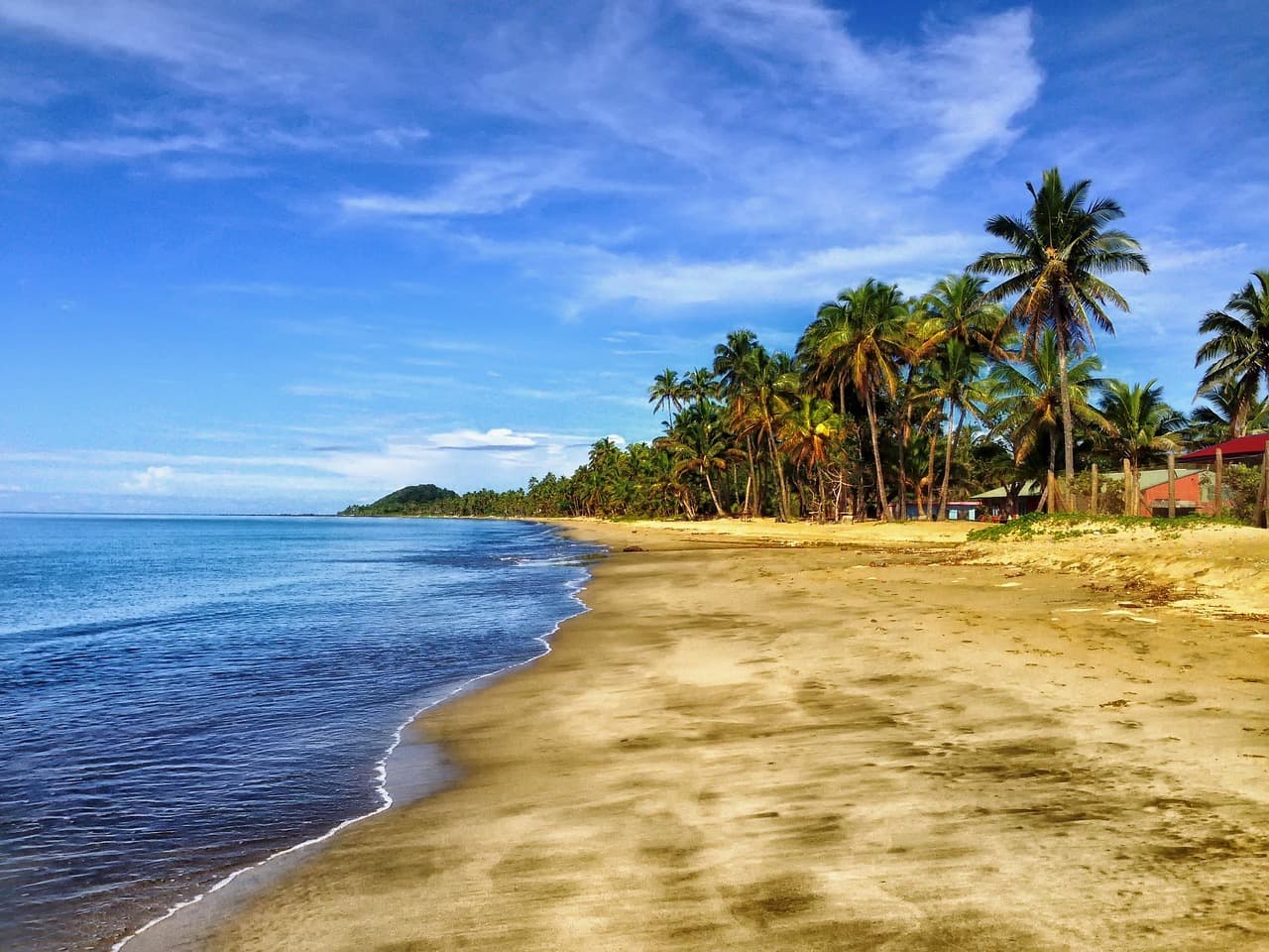 beach, sand, palm trees, tropical beach, sea, ocean, coast, coastline, shore, seashore, scenery, nature, outdoors, fiji, beach, beach, beach, beach, beach, fiji, fiji, fiji [pid:293826]