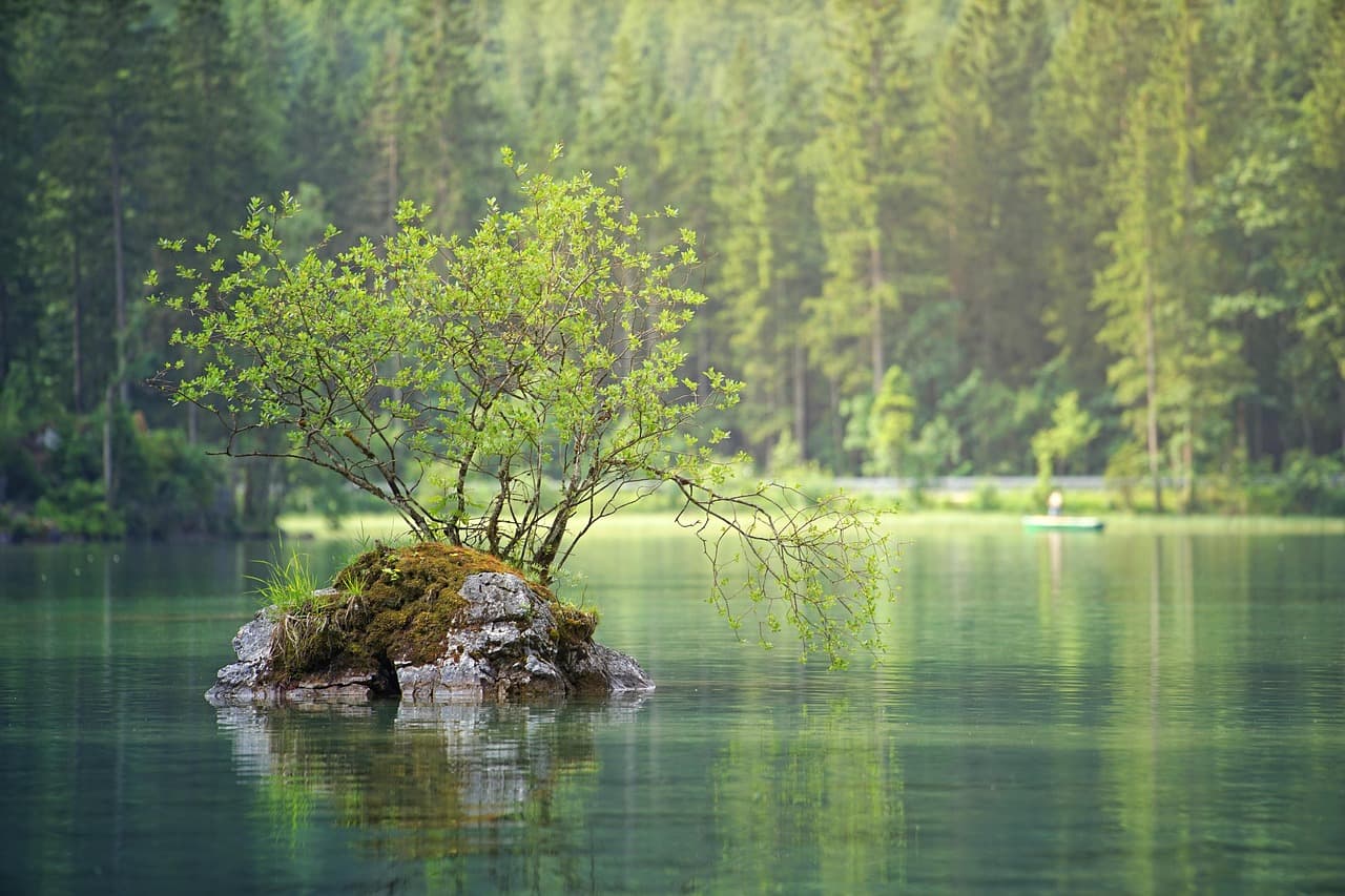 waters, nature, lake, flow, water, landscape, forest, trees, island, summer, green, coniferous forest, idyllic, lake, lake, lake, lake, lake, forest, forest, island [pid:3095682]