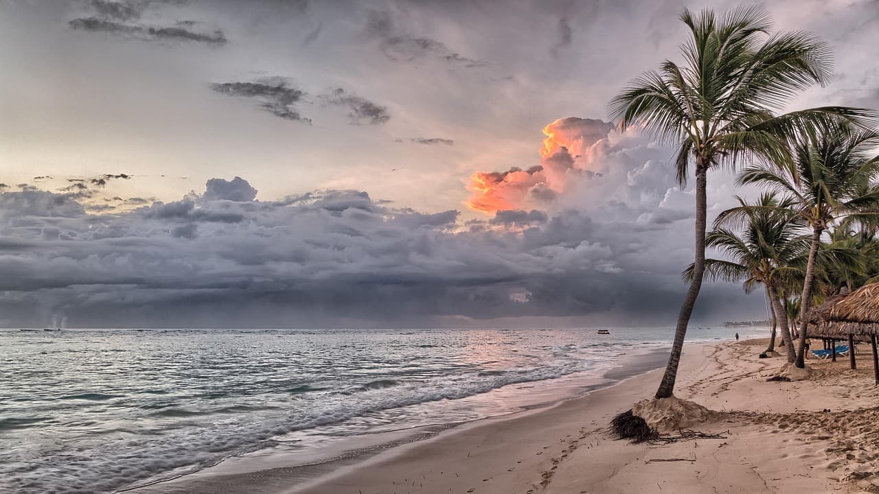 beach, sea, ocean, tropical, tropical island, sky, clouds, horizon, seascape, dominican republic, caribbean, summer, water, palm trees, nature, sand, vacation, travel, coast, tourism, sunrise [pid:1236581]