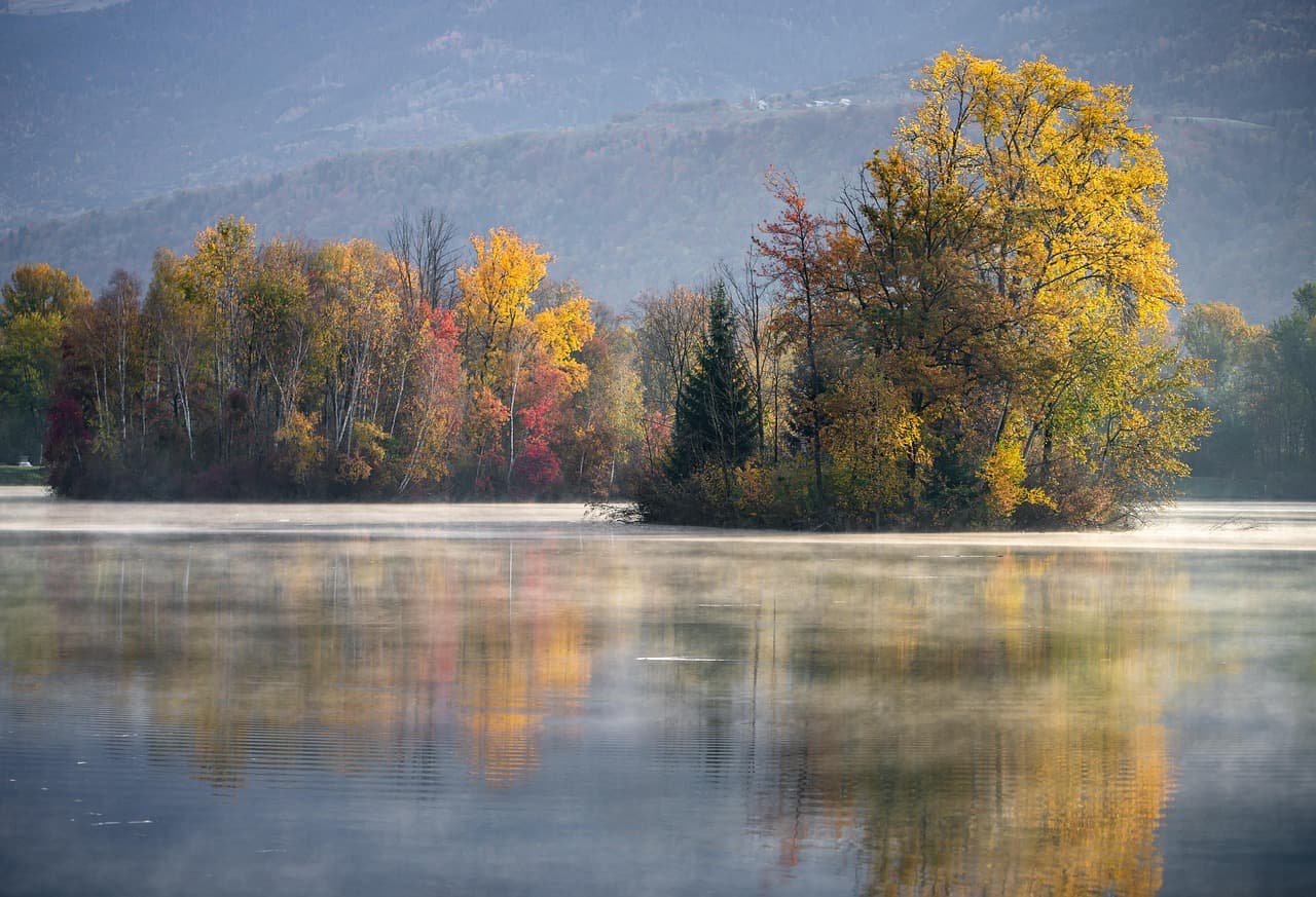 lake, nature, autumn, fall, water, water reflection, trees, woods, morning, scenery, scenic, countryside, savoie, grésy-sur-isère, france, lake, autumn, autumn, autumn, autumn, autumn, fall, fall, morning, france, france [pid:5691976][dark]