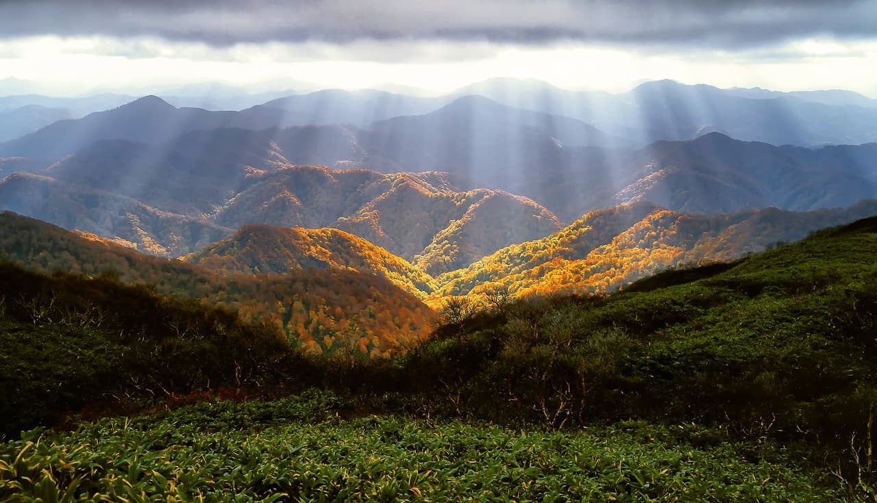 autumn, mountains, shirakami-sanchi, forest, hills, landscape, sunbeams, sunlight, mountain ranges, mountainous, mountain landscape, nature, rural, countryside, autumn, autumn, autumn, mountains, mountains, mountains, mountains, mountains, forest, forest, forest, forest, landscape [pid:2183489]