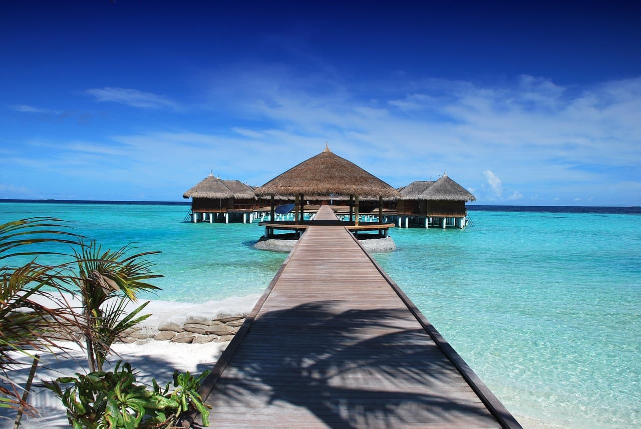 beach, resort, jetty, pier, boardwalk, huts, maldives, bungalows, beach bungalows, beach resort, tropical island, holiday, ocean, nature, sand, water, summer, shore, rest, beach, beach, beach, beach, maldives, maldives, maldives, maldives, maldives, summer [pid:666122]