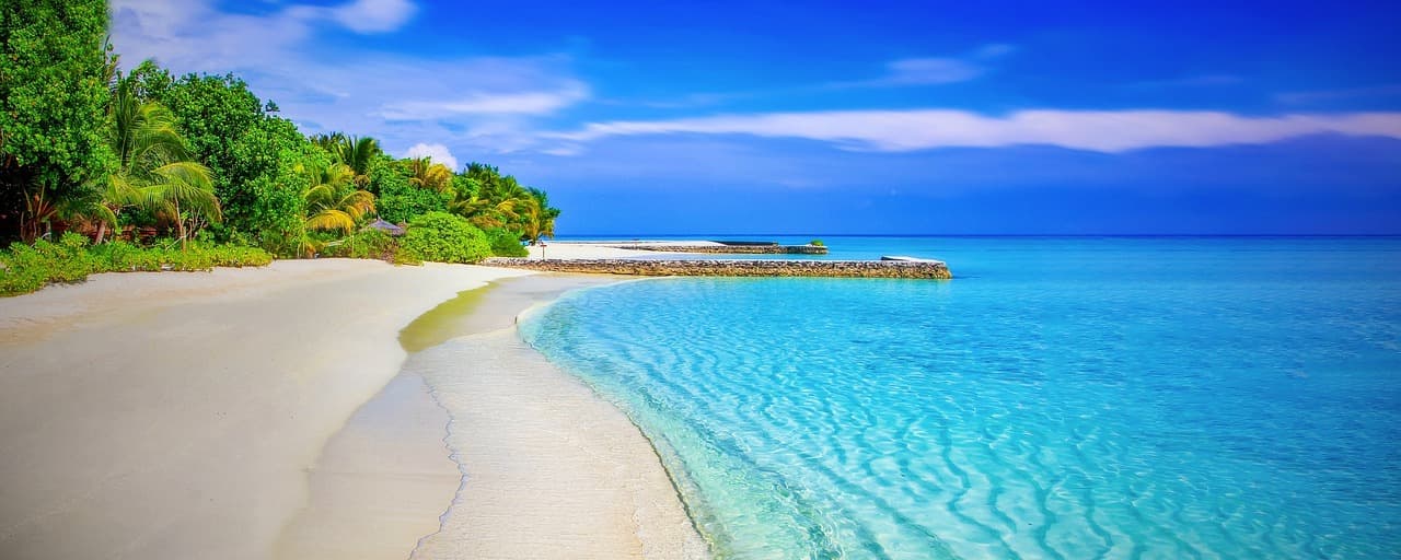 beach, sea, panorama, panoramic, blue sea, blue ocean, horizon, seascape, tropical, tropical island, shore, seashore, coast, coastline, sandy beach, paradise, palm trees, ocean, water, holiday, white sand, exotica, blue, warm, relax, nature, exotic, island, secluded beach [pid:1824855]