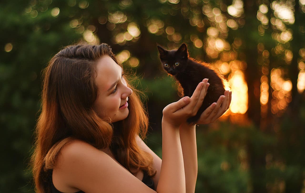 evening, kitten, woman, nature, sunset, animal, girl, light, bokeh, cute, outdoors, pet [pid:8429871]