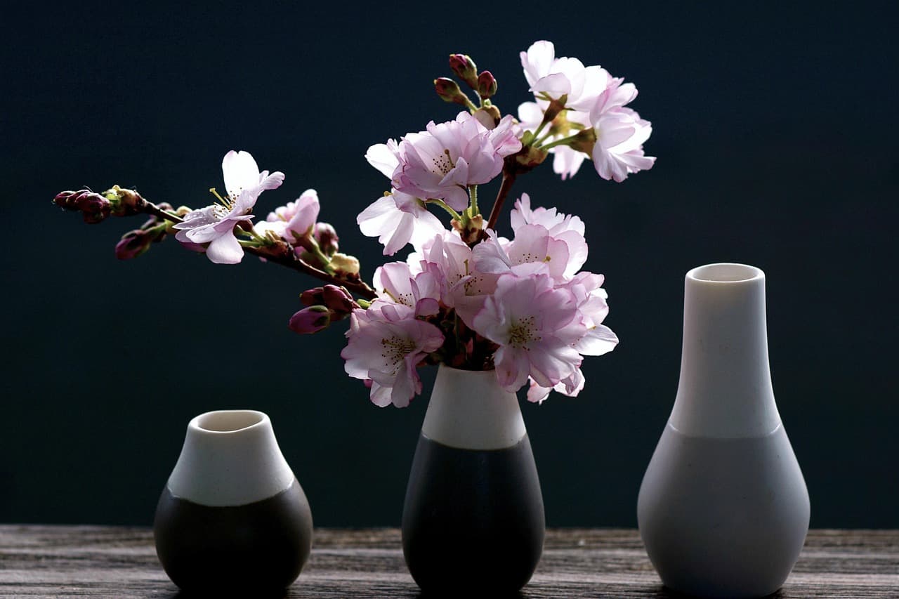 cherry blossoms, branch, pink, spring, nature, blossom, bloom, sakura, bud, ornamental cherry, vase, season, decorative, cherry blossoms, spring, spring, sakura, sakura, vase, vase, vase, vase, vase [pid:4069596]