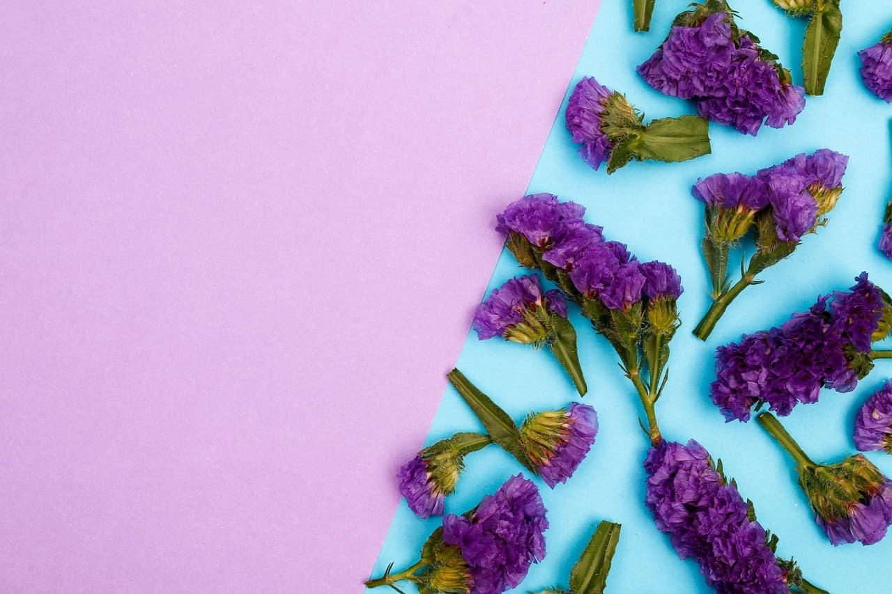 flowers, floral background, pastel background, nature, flower wallpaper, purple flowers, flower background, floral composition, floral pattern, floral wallpaper, copy space, beautiful flowers, greeting card [pid:6775500][light]