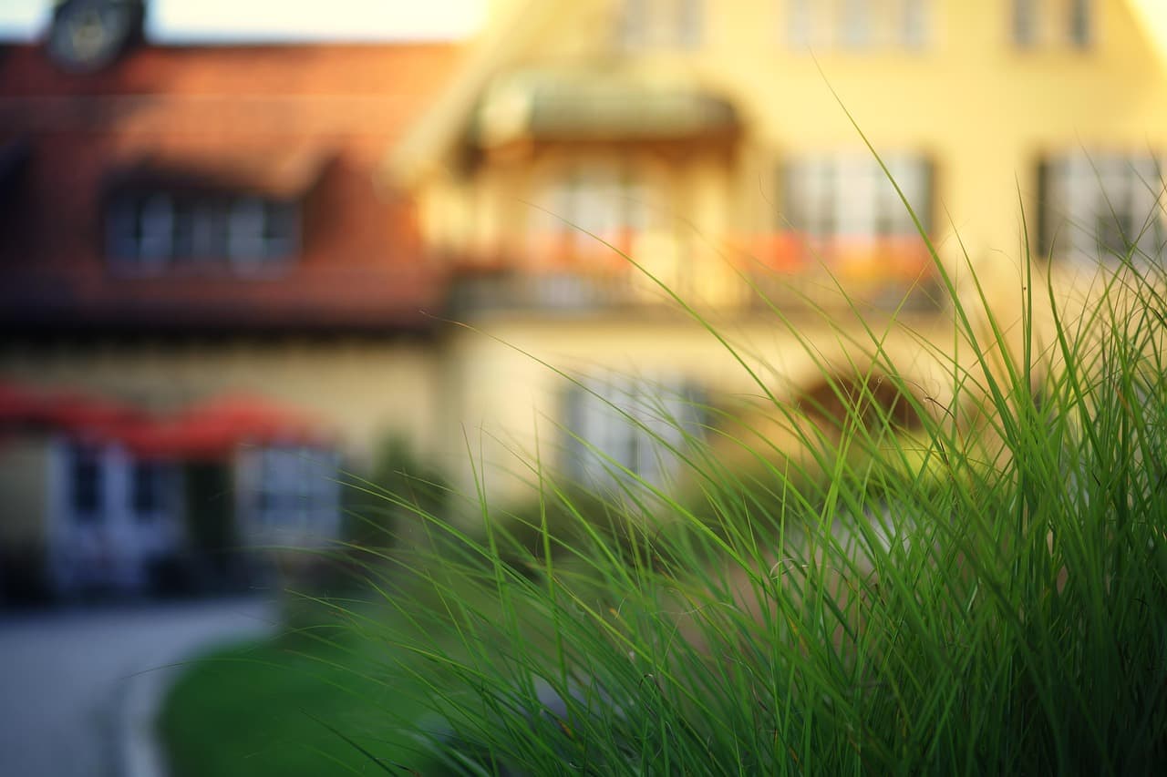 bavaria, house, grass, bokeh, sun, light, vintage, nature, travel, old, path [pid:8294454][light]