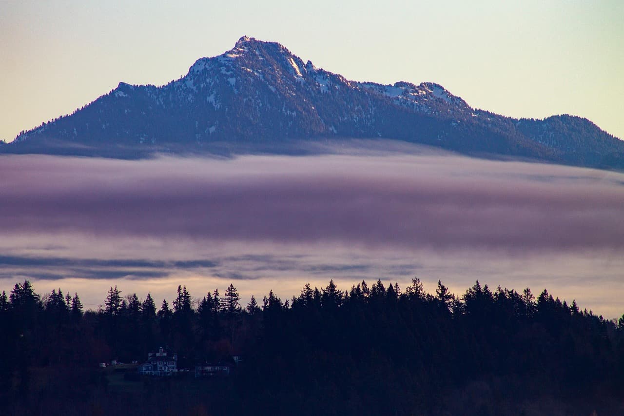 mountain, trees, forest, fog, clouds, dawn, mount pilchuck, nature, outdoors, landscape, mountain, mountain, mountain, mountain, mountain [pid:5941381][dark]