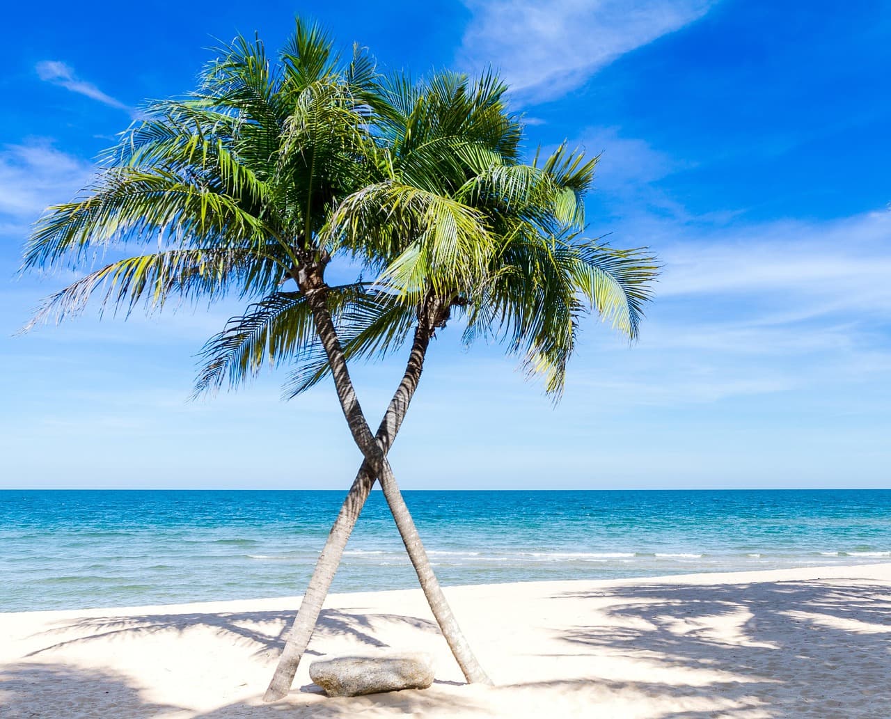 beach, palm trees, sea, seascape, horizon, tropical island, paradise, shore, seashore, caribbean, ocean, nature, outdoors, coastline, water, beach, beach, beach, beach, beach, palm trees [pid:1822544][light]