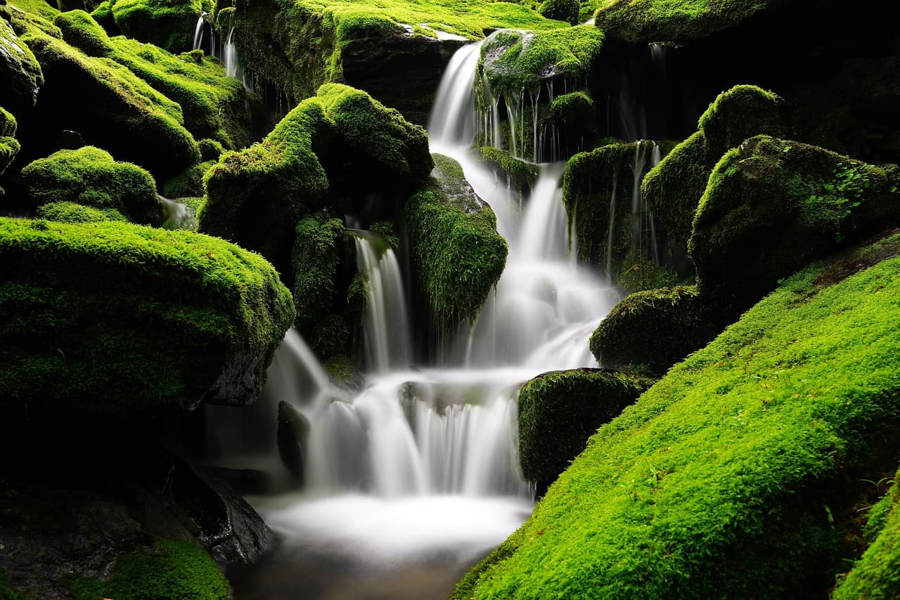 waterfall, moss, korea, mountain, valley, green, forest, tree, clean, cool, brook, rock, environment, scenery, nature, water, landscape, waterfall, waterfall, waterfall, waterfall, waterfall [pid:5365926][dark]