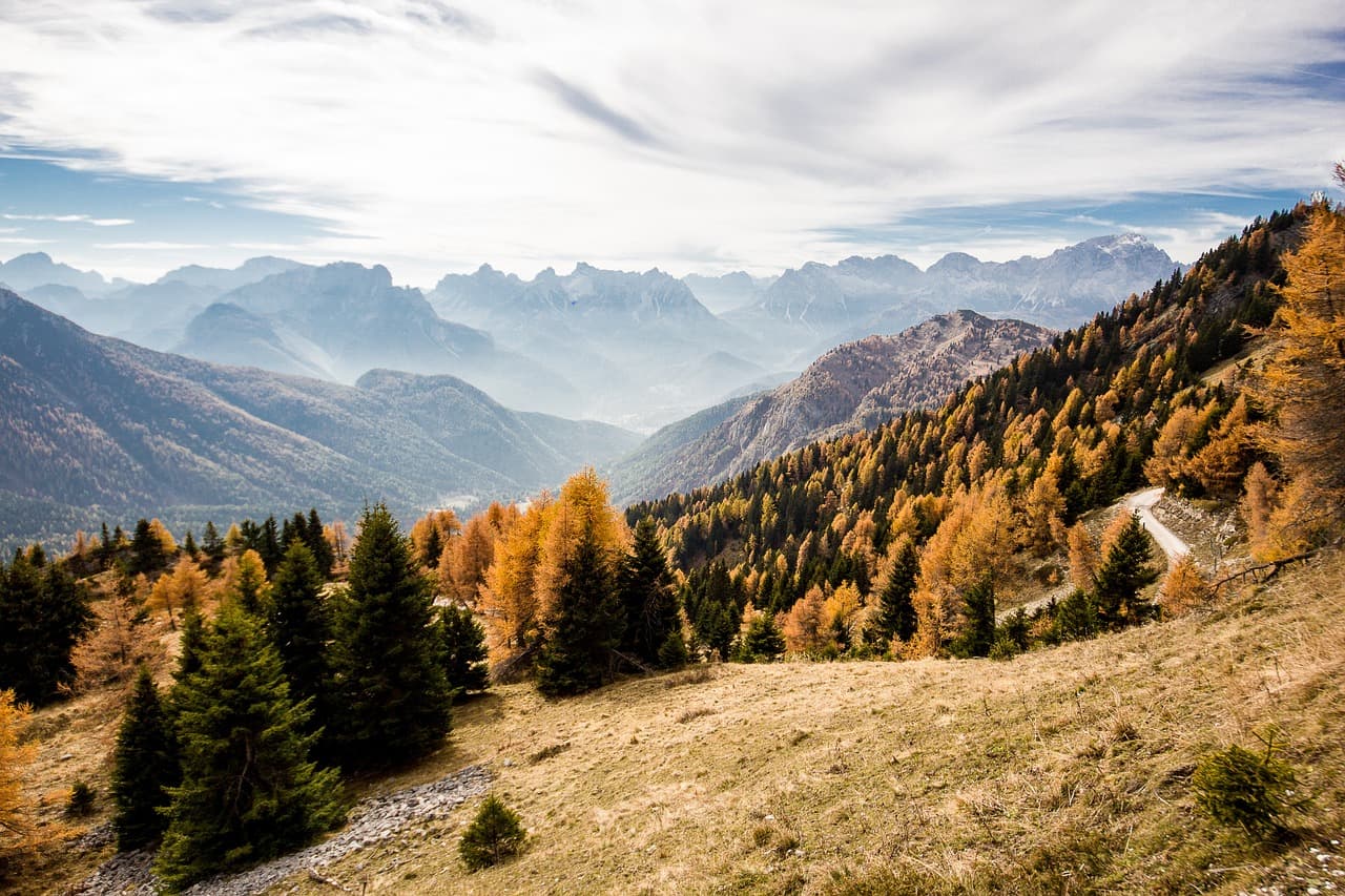 autumn, mountain, pines, panorama, landscape, nature, dolomites, forest, sky, trees, scenic, autumn, autumn, autumn, autumn, autumn, dolomites, dolomites [pid:5092804][light]