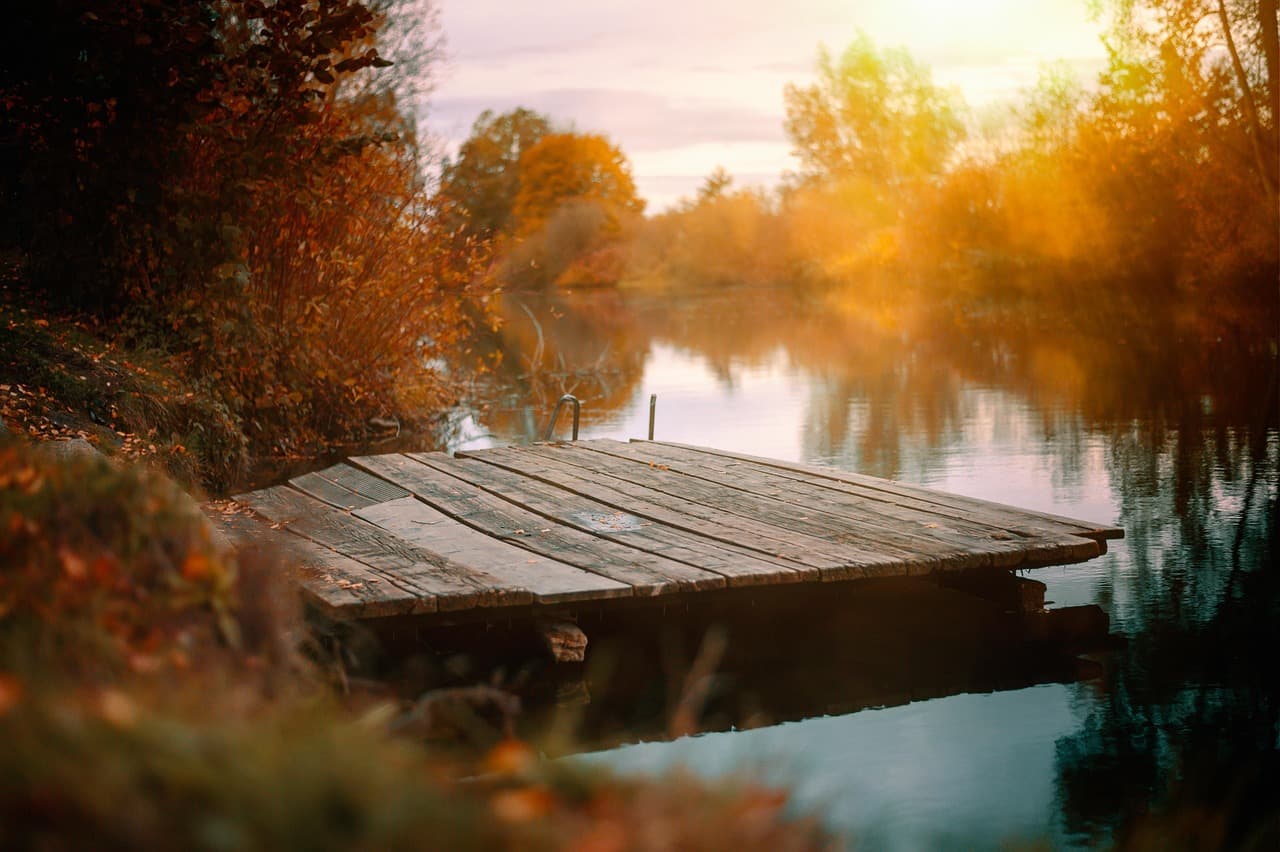 lake, boardwalk, nature, autumn, waters, mood, fall, season, outdoors, wilderness, lake, autumn, autumn, autumn, autumn, autumn, fall, fall, fall [pid:4639368][dark]