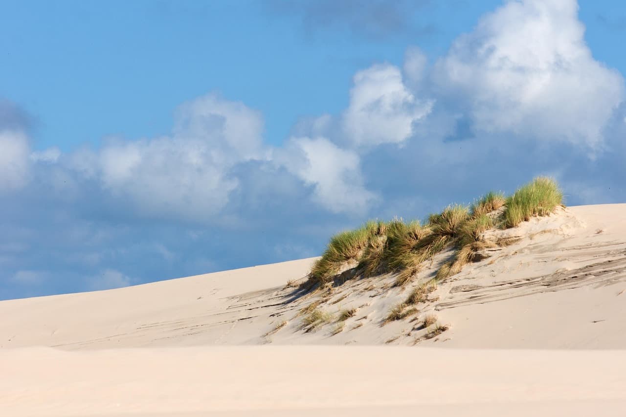 dunes, sand dunes, nature, poland, sand, beach, coast, landscape, grass [pid:3580662][light]
