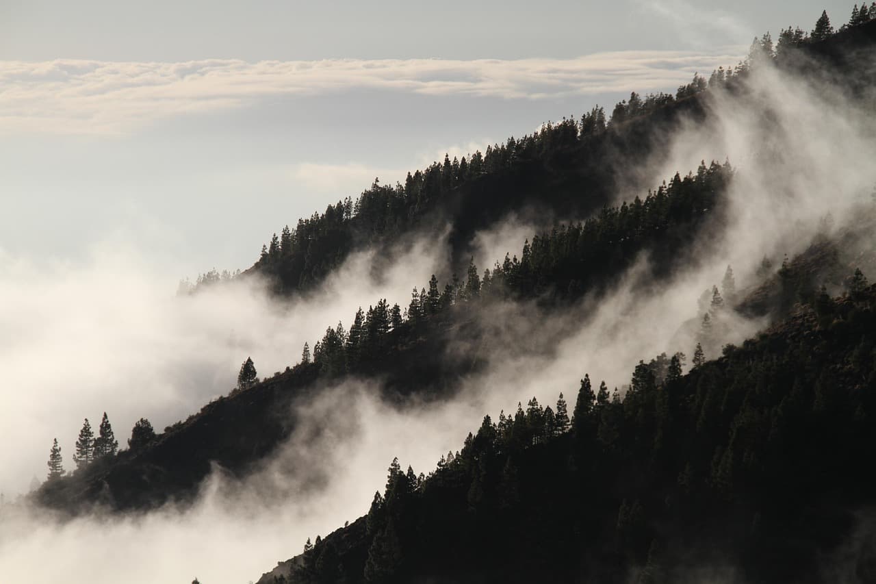 fog, forest, mountains, clouds, foggy, haze, misty, conifers, coniferous, conifer forest, mountain landscape, mist, vegetation, landscape, nature, fog, fog, fog, forest, forest, forest, forest, forest, mountains, foggy, foggy, foggy, mist, mist, mist, mist, landscape [pid:1220491][dark]