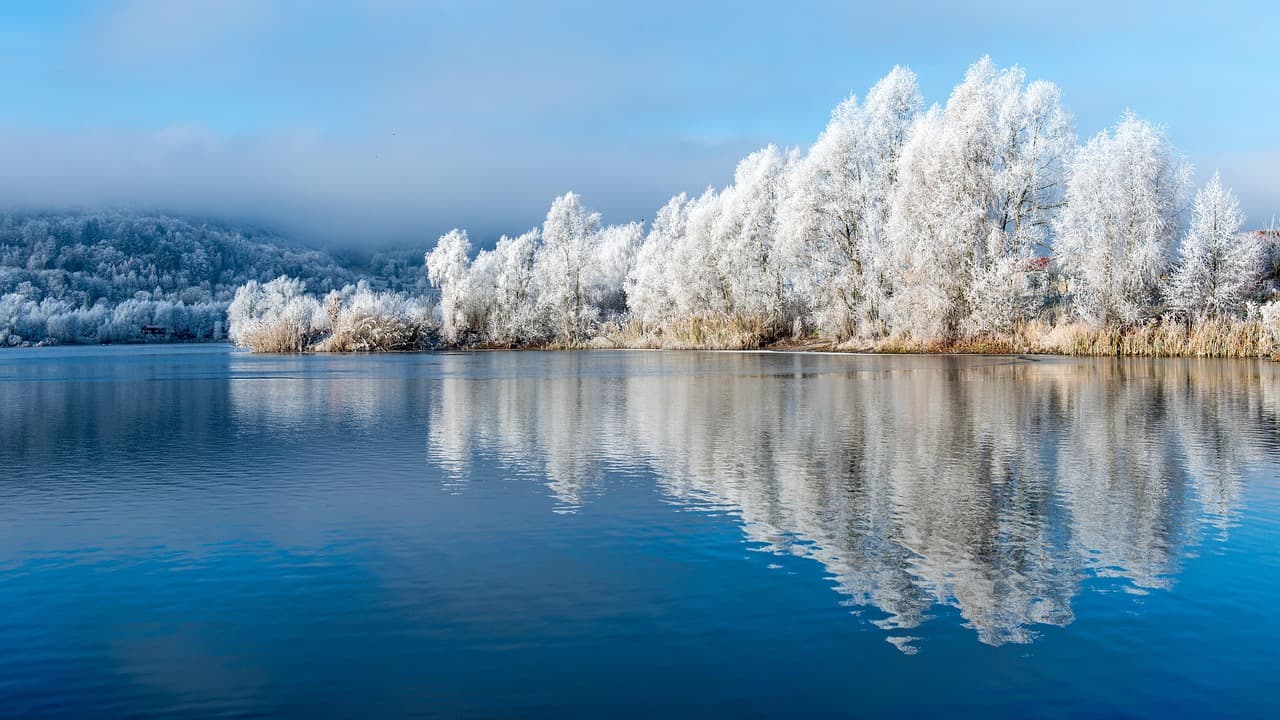 winter, lake, landscape, trees, snow, cold, frost, frozen, reflection, water, hoarfrost, scenic, nature, weser, weser uplands, wintry, ice crystals, season, winter magic [pid:8437400][light]