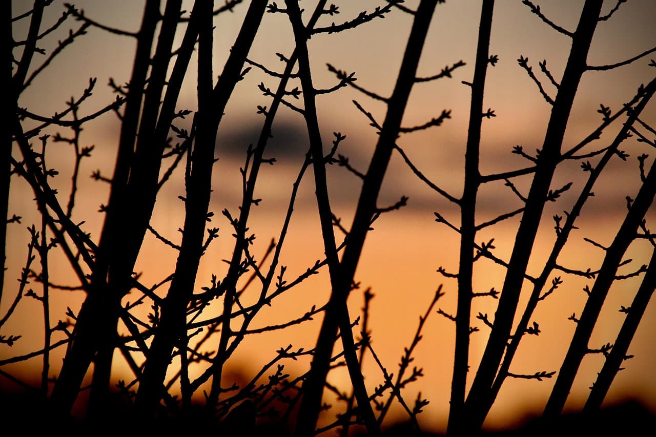 sunrise, dawn, morning, sky, fall, nature, landscape, dawn, dawn, dawn, dawn, dawn, morning, landscape, landscape [pid:8372034][dark]