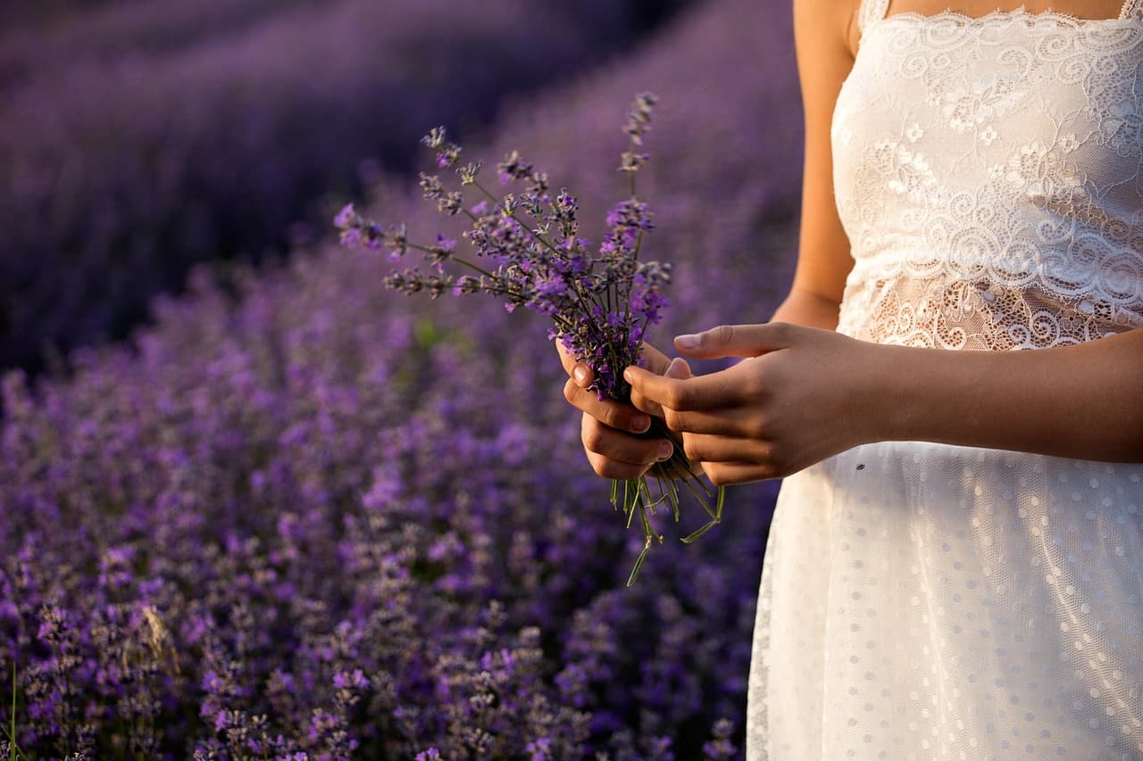 lavender, flowers, bouquet, plants, purple, summer, flower wallpaper, beautiful flowers, flora, garden, colors, field, grass, herb, architecture, gardening, vegetation, hands, fingers, touching, flower background, keeps, girl, nature [pid:3576132][dark]