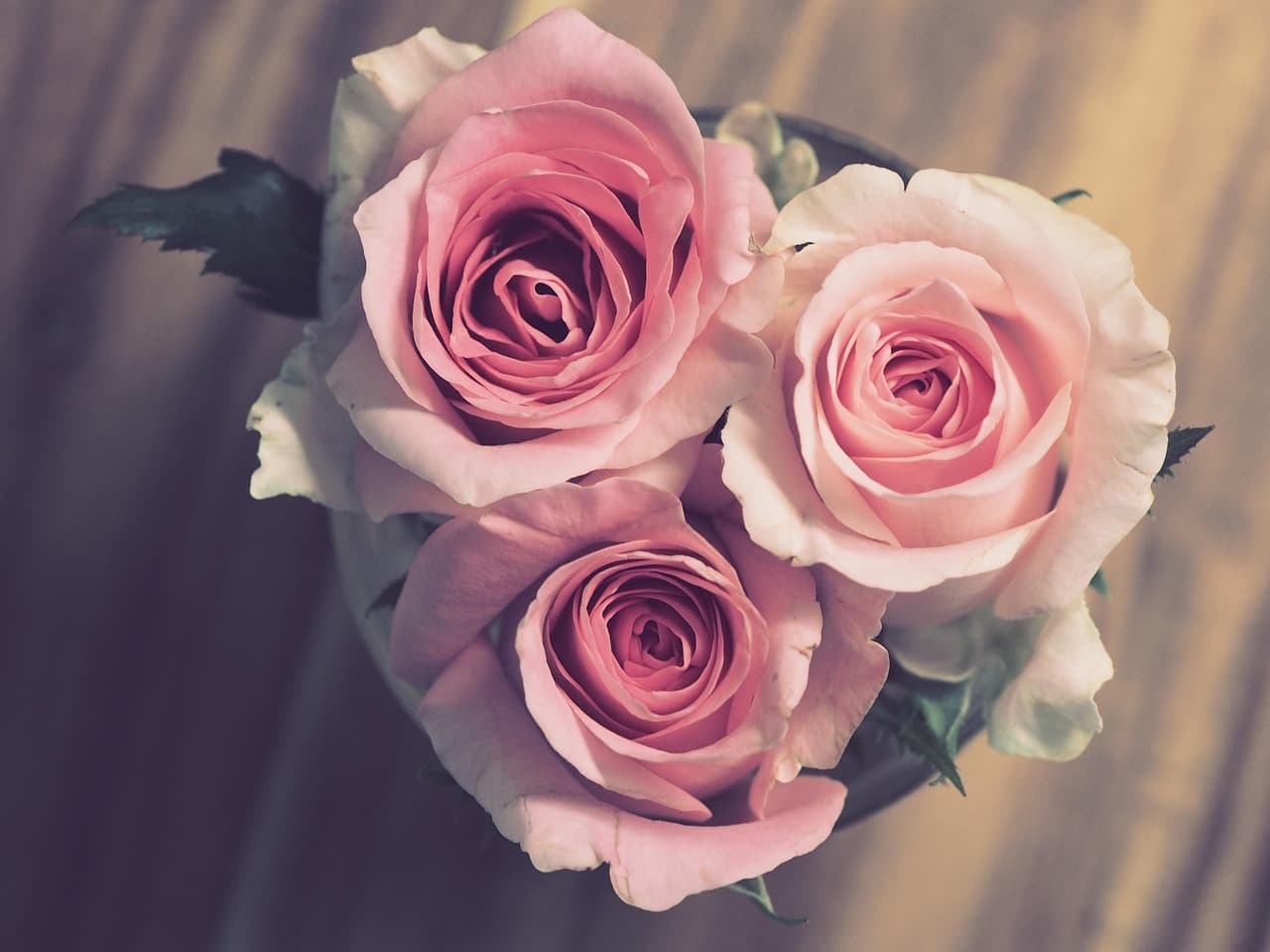 roses, flower wallpaper, nature, pink, flowers, bouquet, romantic, wedding, marriage, anniversary, gift, flower background, beautiful flowers, celebration, engagement [pid:3072698][dark]