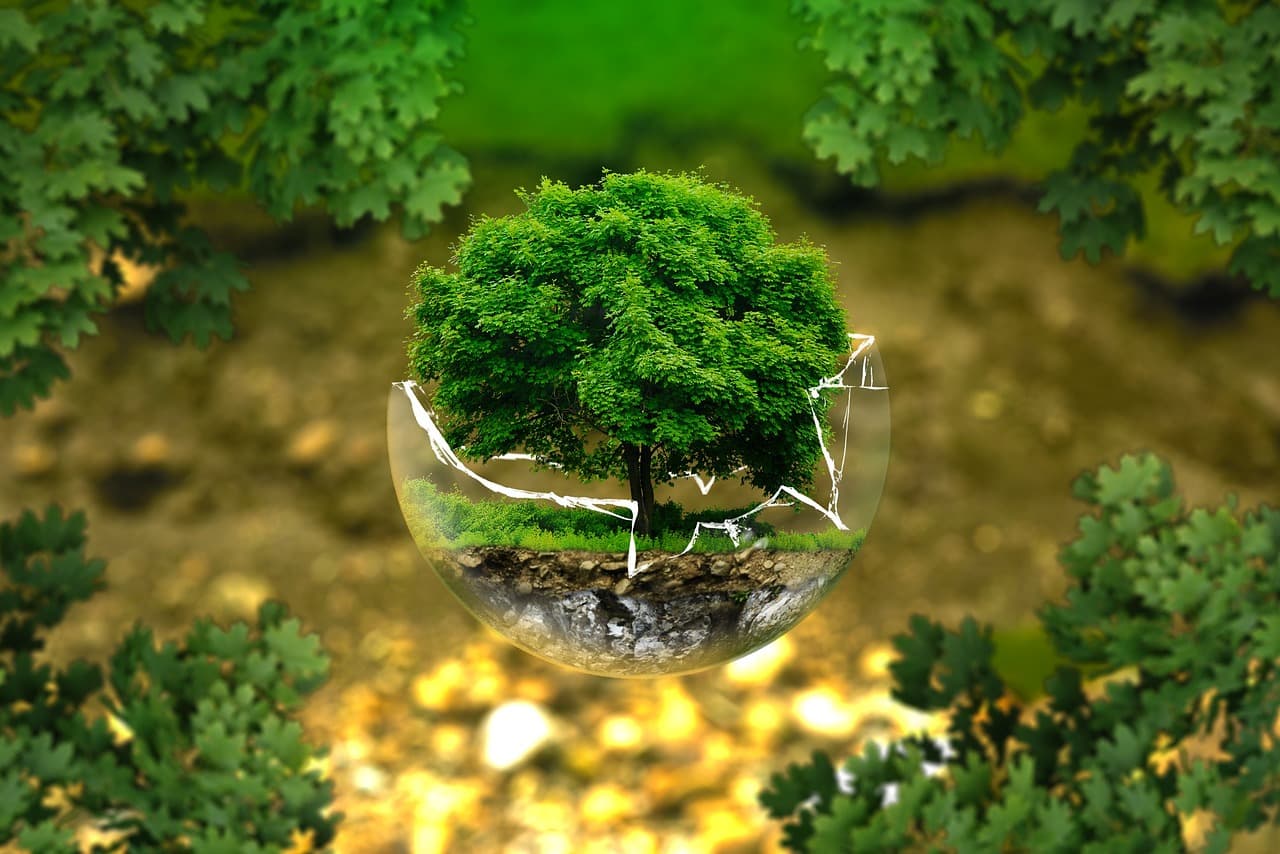 environmental protection, natural reserve, ecology, eco, bio, glass sphere, forest, green, organic, life, earth, grow, trees, tree protection, forest dieback, biology, ecological balance, environmental pollution, fragile, sensitive, bonsai, deciduous tree, leaves, tree die, environment, the atmosphere, surreal, nature, forests, green good, forest, green, life, life, earth, earth, earth, earth, earth, environment, environment, environment, nature [pid:326923][dark]