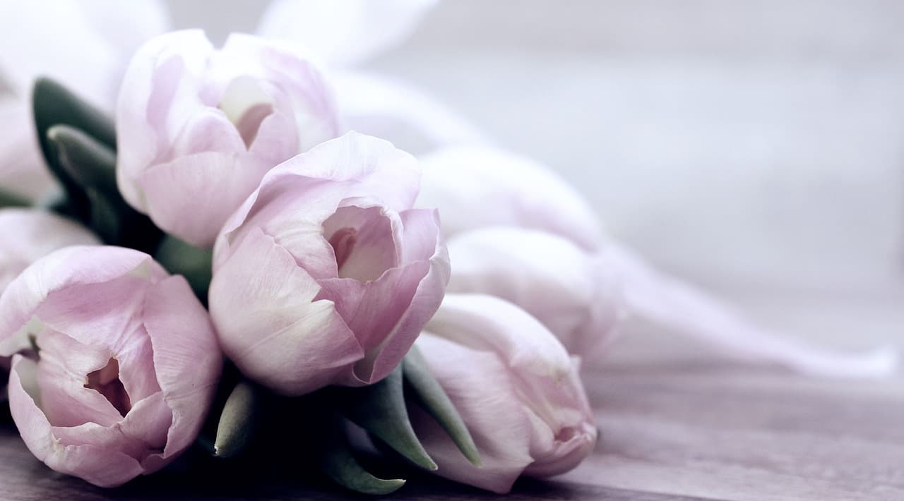 flowers, tulips, happy mothers day, flower background, spring, seasonal, flower wallpaper, bloom, blossom, nature, beautiful flowers, flora, bouquet of flowers [pid:4072214][light]