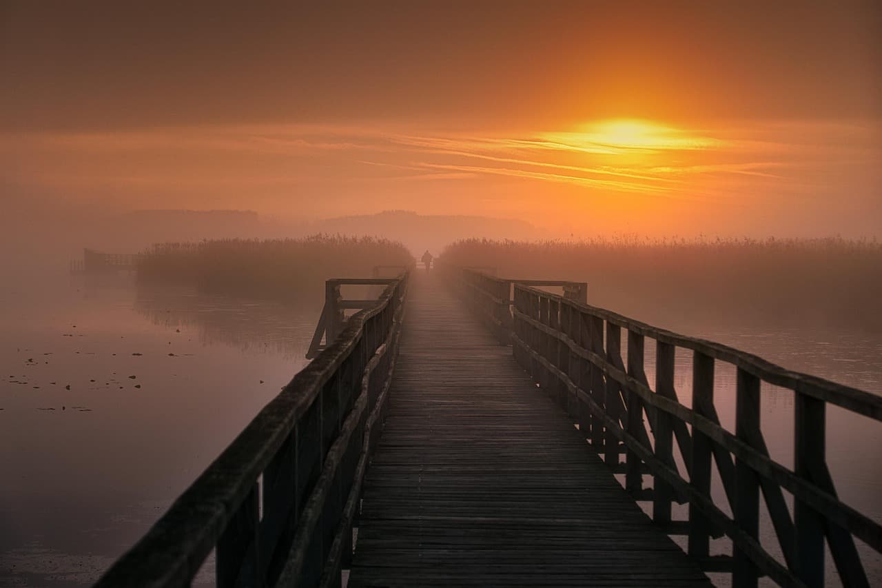 pier, silhouette, sunrise, fog, mystical, nature, landscape, nature, nature, nature, nature, nature [pid:8091934][dark]