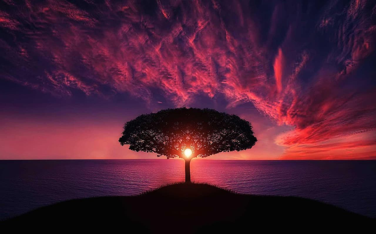 new year background, tree, sunset, clouds, sky, silhouette, hill, sea, ocean, tree silhouette, sun, dusk, twilight, afterglow, seascape, nature, landscape, island, sundown, zoom background [pid:736885][dark]