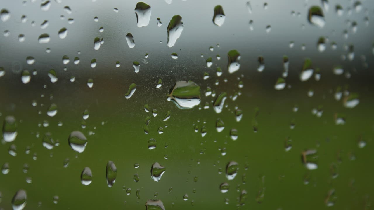 rain, drop, raindrop, window, condensation, foggy, liquid, rain drops, transparent, water drops, droplet, wet, water, nature, green rain, green window [pid:2364935][dark]
