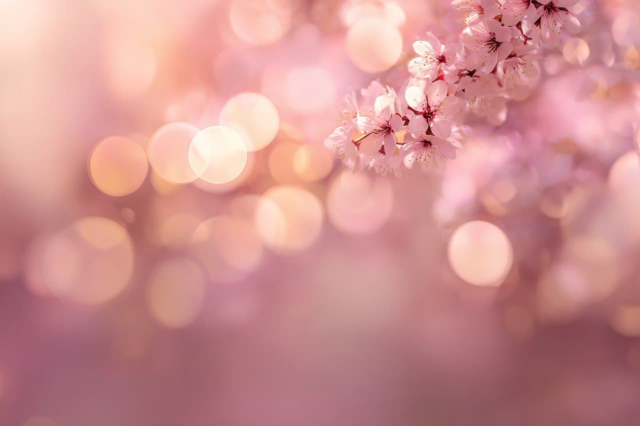 spring, free wallpaper, blossom, hd wallpaper, abstract, full hd wallpaper, 4k wallpaper 1920x1080, background, dreamy, floral, 4k wallpaper, pink, bokeh, beautiful wallpaper, mac wallpaper, light, flower wallpaper, free background, soft, wallpaper hd, blurred background, pastel, nature, flower, floral background, beauty, romantic, flower background, blur, beautiful flowers, cool backgrounds, windows wallpaper, gentle, delicate, springtime, vibrant, desktop backgrounds, fresh, wallpaper 4k, backdrop, laptop wallpaper, design, ai generated [pid:10104352][light]