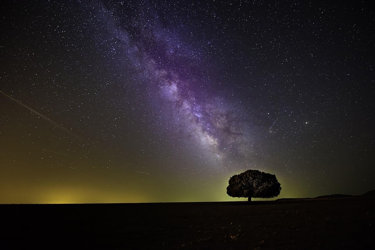 tree, stars, night, night sky, tree silhouette, milky way, starry sky, starry night, stargazing, cosmos, silhouette, sky, landscape, nature, stars, stars, stars, night, night sky, night sky, night sky, milky way, milky way, milky way, milky way, milky way, starry sky, starry night, stargazing, cosmos, cosmos, cosmos [pid:1866602][dark]