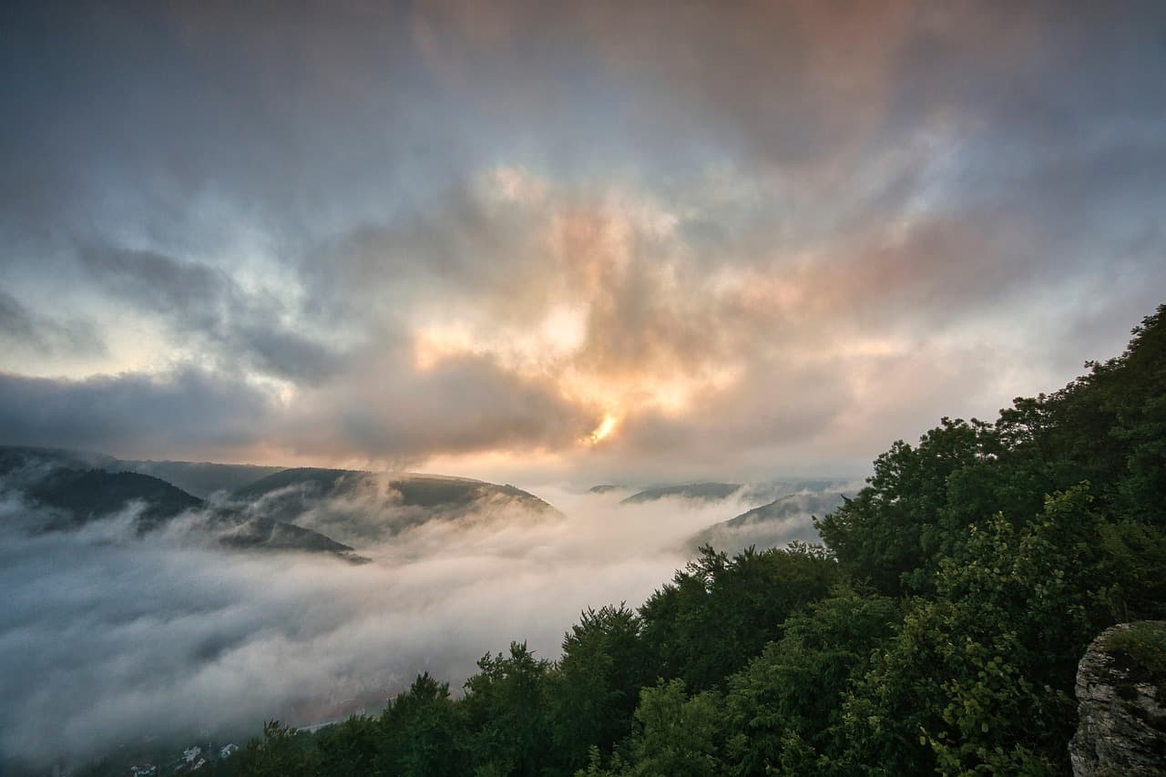 fog, morning, mountain, nature, landscape, sunrise, trees, sunlight, morning mist, foggy, fog, morning, morning, morning, nature, sunrise, sunrise, sunrise, sunrise, sunrise [pid:6483278][dark]