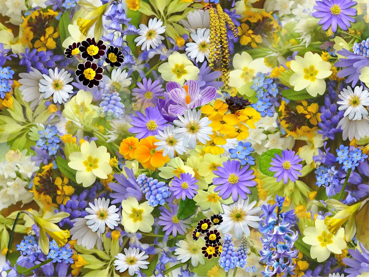 spring flowers, flowers, collage, floral, blossom, flower wallpaper, nature, beautiful, beauty, flower background, bloom, blooming, plants, flora, beautiful flowers, spring, photo art [pid:110671][light]