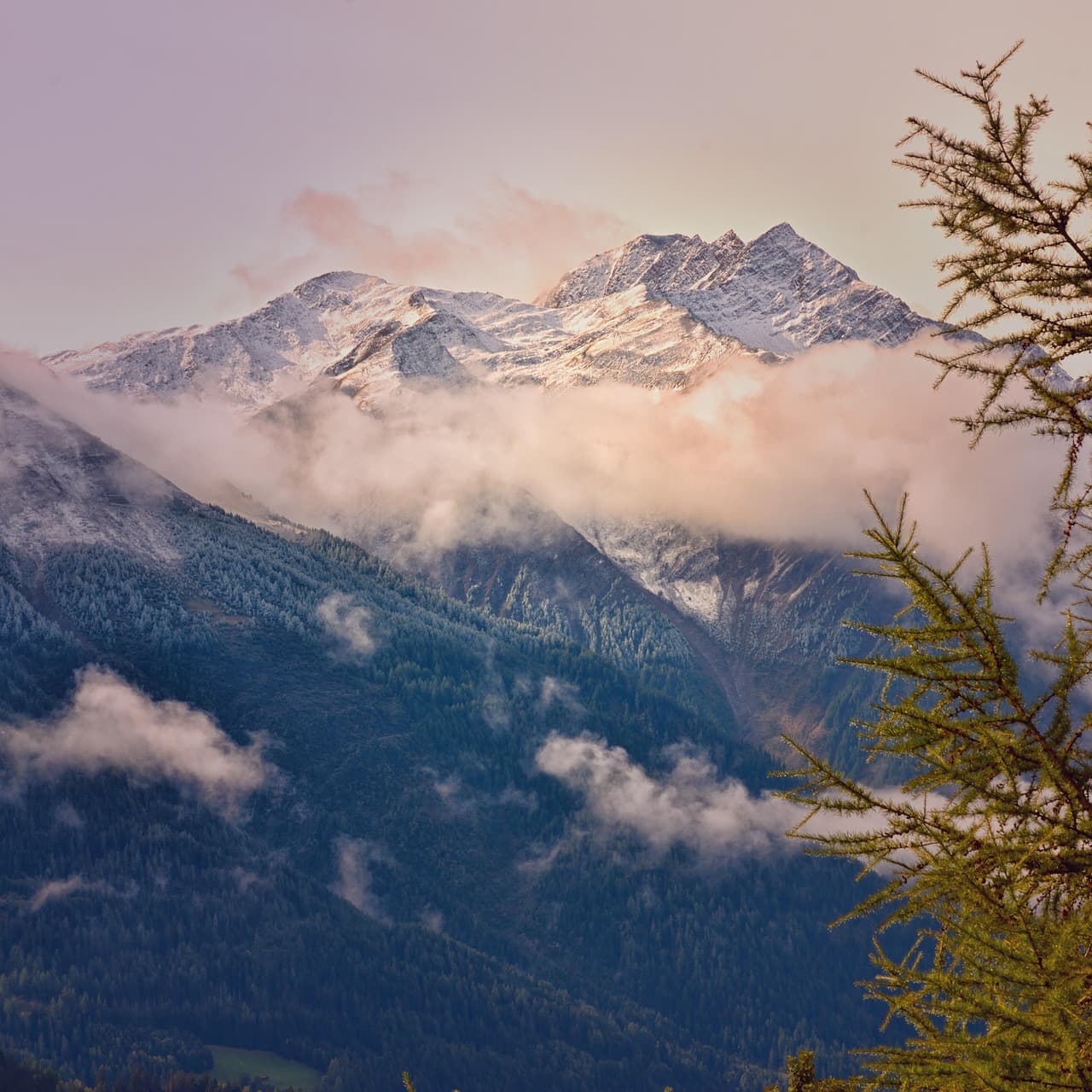 mountains, fir tree, alpine, mountain range, mountainous, mountain landscape, alps, clouds, landscape, trees, nature, snow-capped mountains, sky, fog, valais, switzerland, scenic, mountains, fir tree, mountain range, alps, alps, clouds, clouds, clouds, clouds, clouds, nature, nature, nature, nature, sky, sky, sky, sky, fog, switzerland, switzerland, switzerland [pid:5627143][dark]