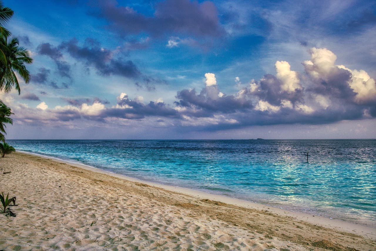 beach, coast, sea, sand, horizon, ocean, bay, water, palm, seashore, coastline, seascape, island, scenery, paradise, tropical, nature, clouds, maldives, beach, beach, beach, beach, beach, scenery, maldives, maldives, maldives [pid:4455224][dark]