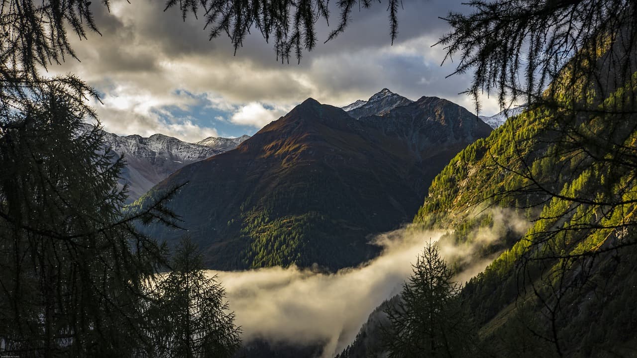 mountains, fog, trees, clouds, alps, alpine, valley, mood, scenic, idyllic, view, mountain range, mountain landscape, landscape, nature, alpine panorama, panorama, atmosphere, mountains, mountains, valley, valley, valley, valley, valley, view, view, nature [pid:4549189][dark]