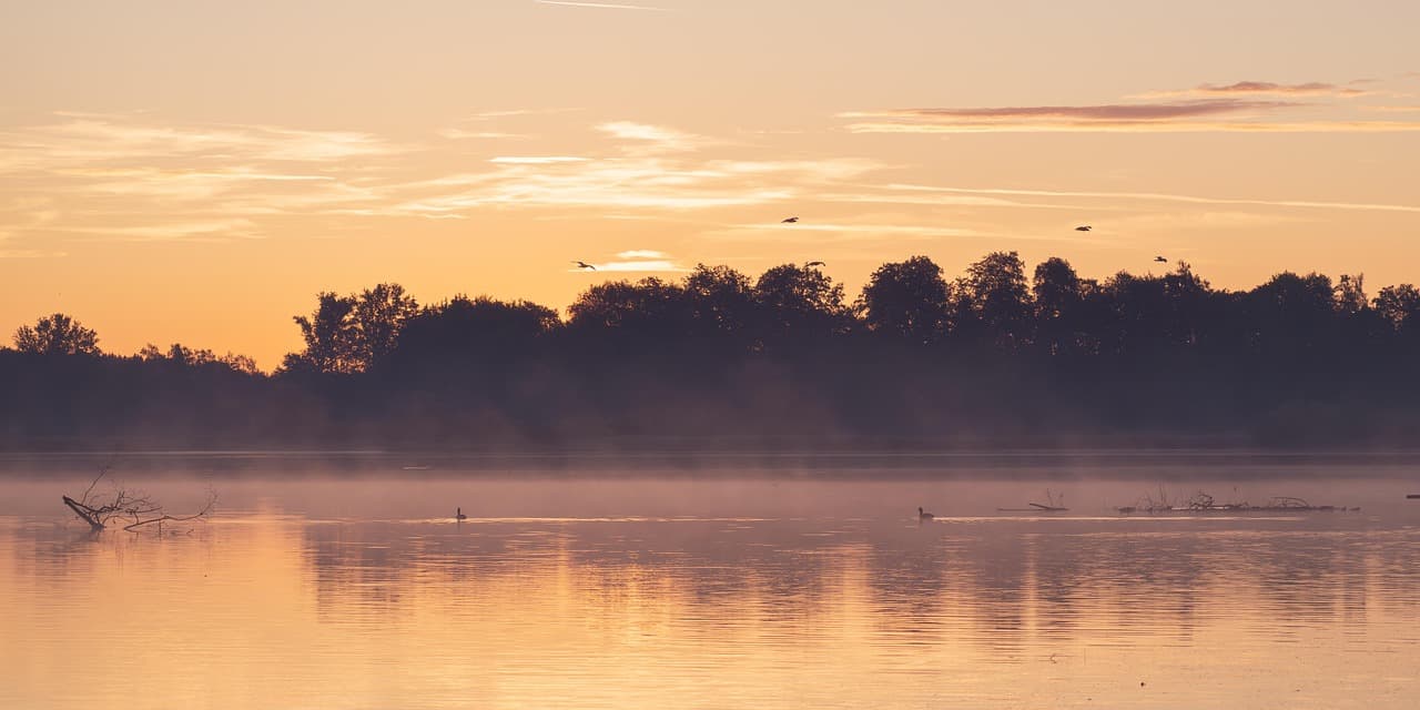 sunrise, morning haze, morning mood, lake, water, silence, mood, quiet, landscape, heaven, scenic, atmosphere, nature, background image, laptop wallpaper, mac wallpaper, desktop backgrounds [pid:8901014][light]
