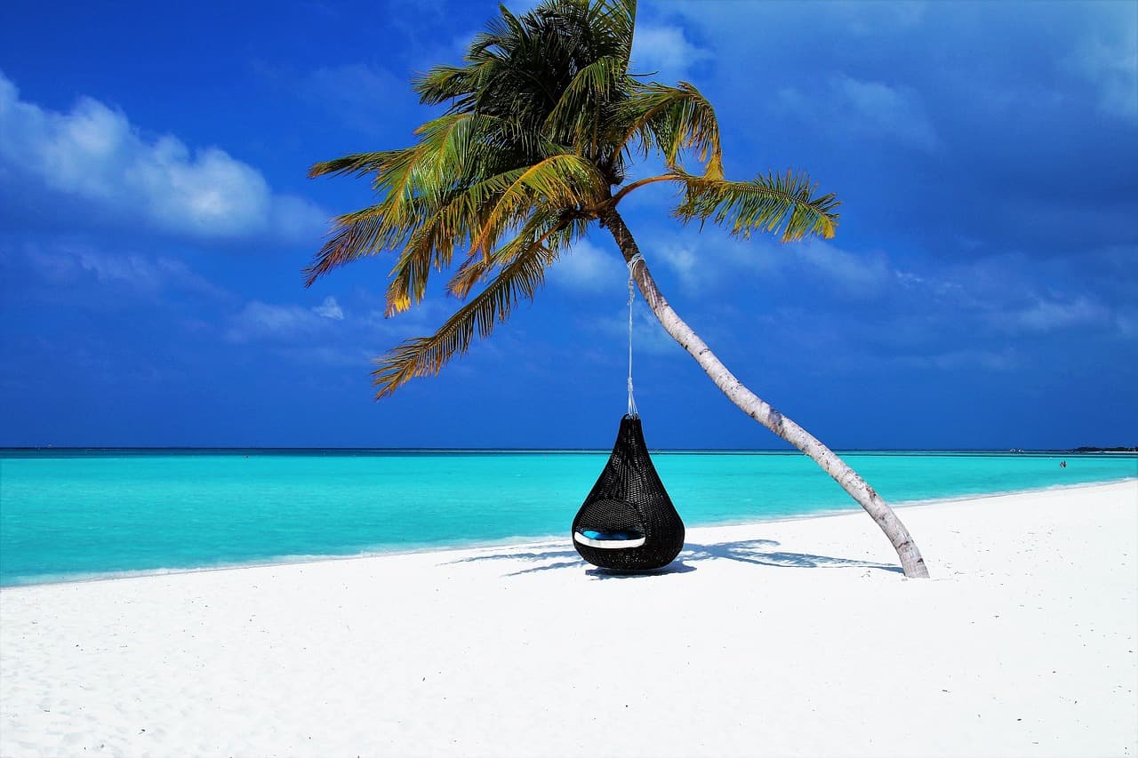 maldives, palm tree, hammock, beach, sand, coast, island, tropical, lagoon, exotic, travel, idyllic, paradise, ocean, landscape, tourism, basket, nature, relaxation, enchanted, sky, secluded, beauty, scenery, relax, rest, holidays, blue nature, blue sky, blue beach, blue travel, blue landscape, blue tree, blue sea, blue beauty, blue relax, blue ocean, blue natural, blue island, blue sand, maldives, maldives, beach, beach, beach, beach, beach, travel, travel, relax [pid:3220702][light]