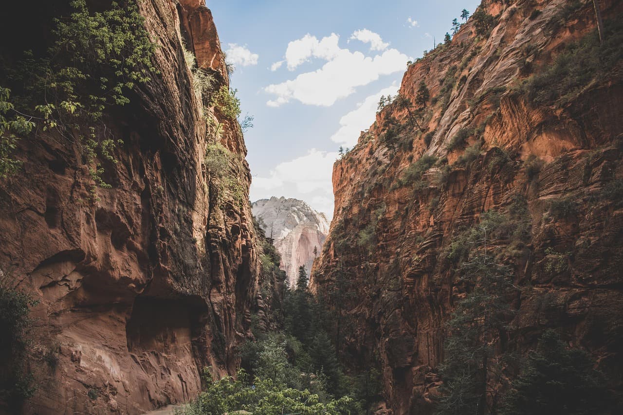 cliffs, canyon, gorge, landscape, mountains, nature, outdoors, rocky mountain, sandstone, scenic, trees, nature wallpaper, canyon, canyon, canyon, canyon, canyon [pid:1866832][dark]