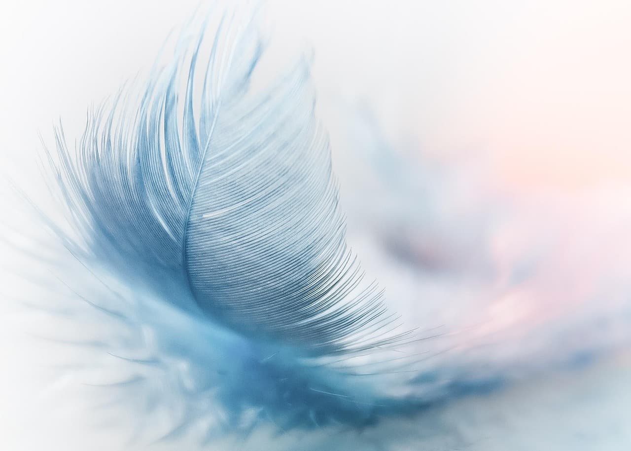 feather, ease, slightly, nature background, blue, airy, hd wallpaper, close up, featherweight, flying, wind, lightweight, nature, nature wallpaper, ostrich feather, fluffy, beautiful nature, swing, float, cool wallpaper [pid:3010848][light]