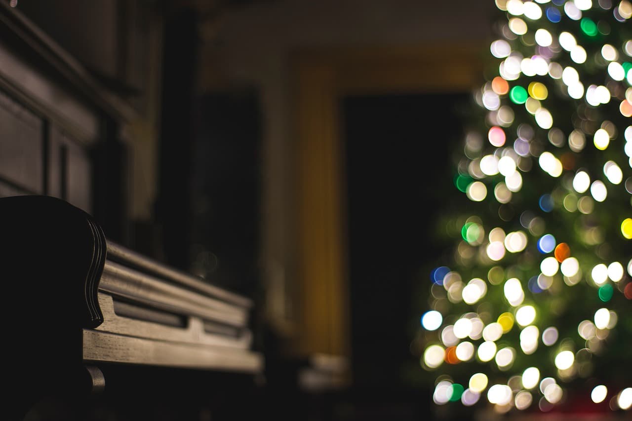 dark, nature, room, christmas, tree, lights, bokeh, brown room, brown dark, brown bokeh [pid:2598491][dark]