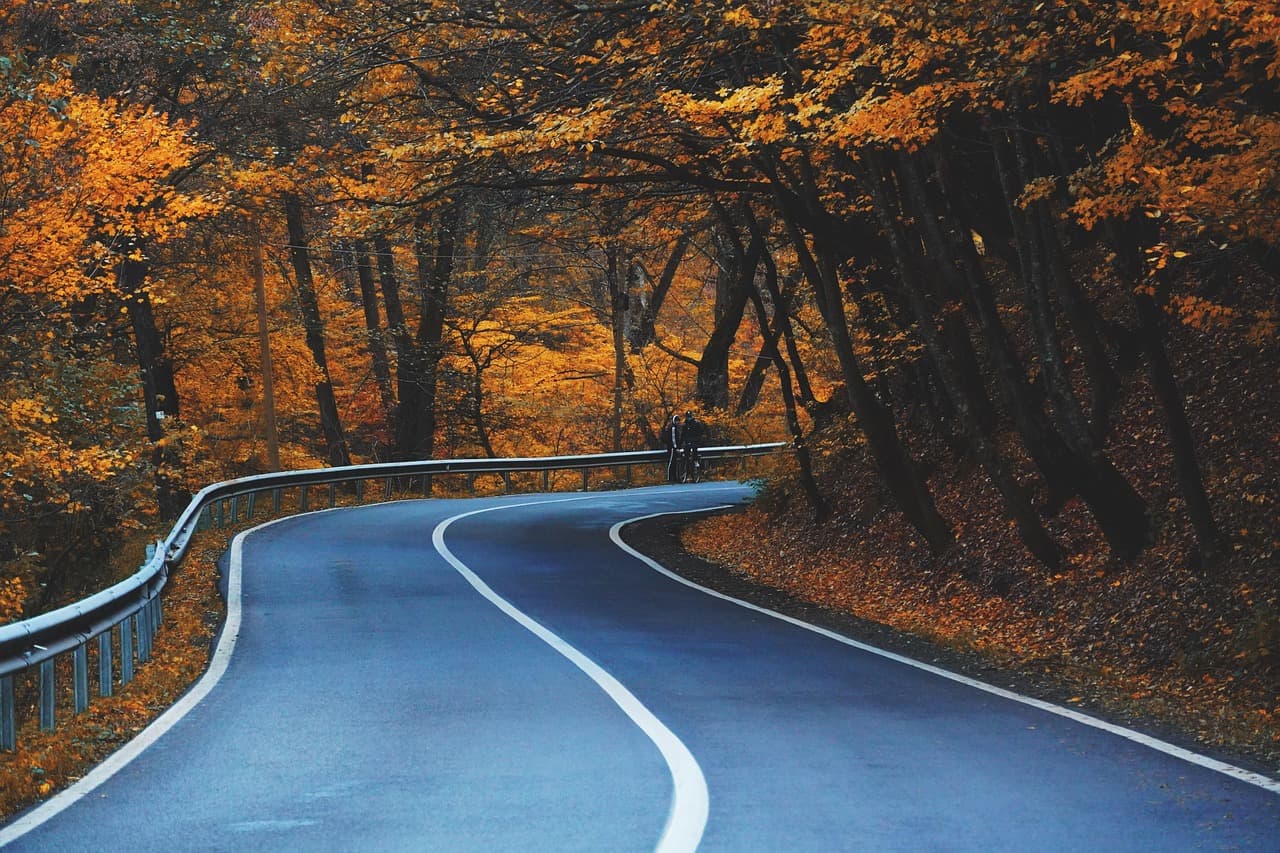 road, curve, trees, highway, leaves, avenue, lane, pavement, autumn, foliage, natural, forest, autumn leaves, autumn foliage, autumn colors, fall leaves, fall foliage, fall colors, nature, road, road, road, road, road, highway, highway, autumn [pid:5704083][dark]