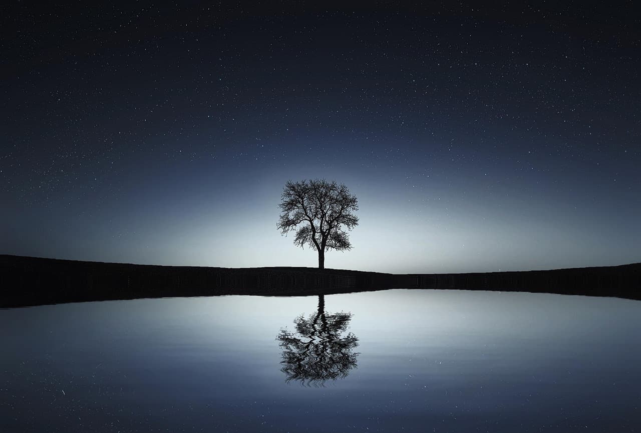 tree, lake, reflection, night sky, silhouettes, nature, tree silhouette, single tree, water reflection, mirroring, mirror image, starry night, starry sky, calm water, stars [pid:736881][dark]