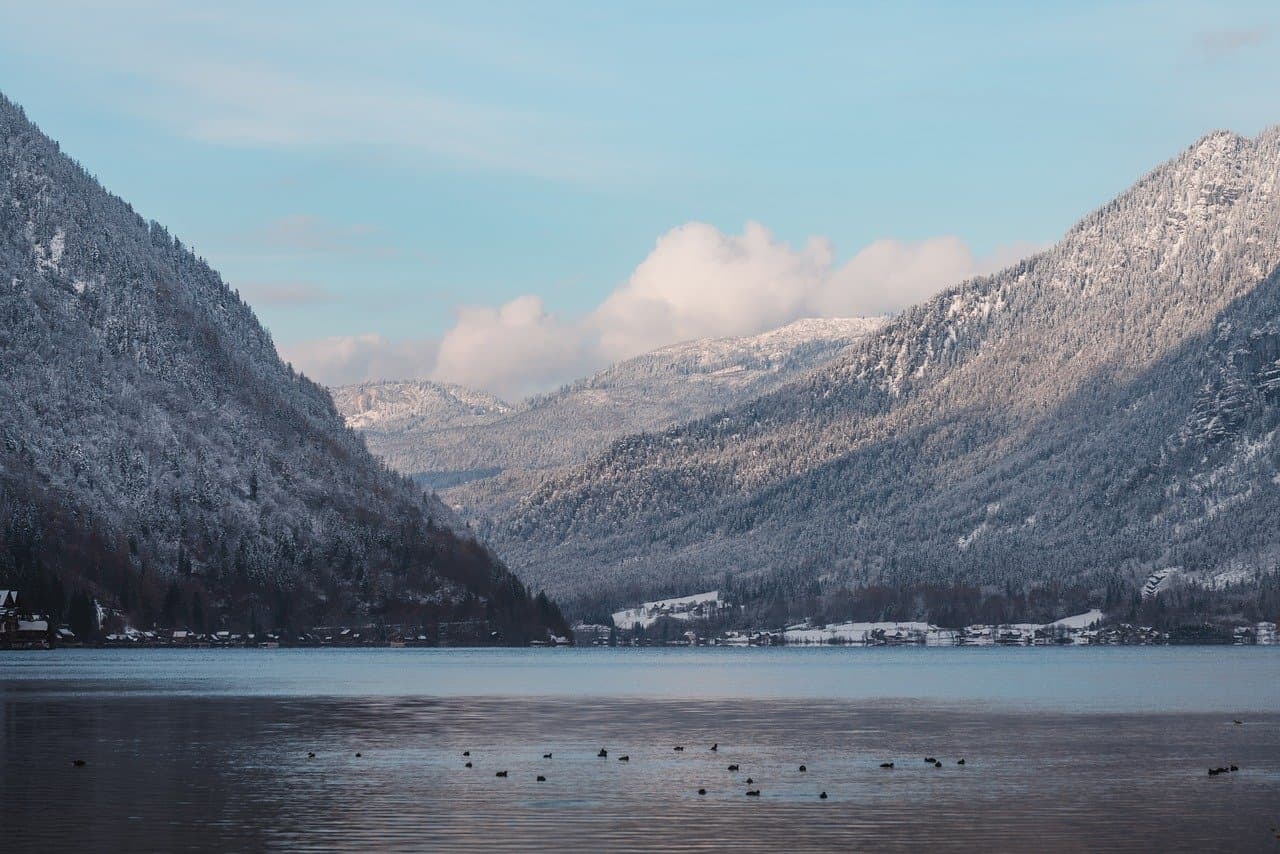misty forest, pine trees, winter wonderland, nature, beautiful nature, windows wallpaper, serene, cold weather, 4k wallpaper 1920x1080, wilderness, desktop backgrounds, hd wallpaper, dreamy, 4k wallpaper, full hd wallpaper, free wallpaper, nature wallpaper, laptop wallpaper, landscape photography, nature lovers, frosted trees, wallpaper, background images, background, nature background, 4k, mac wallpaper, wallpaper hd, pictures, beautiful wallpaper, cool backgrounds, free background, desktop wallpaper, wallpaper 4k, desktop background [pid:10009813][light]