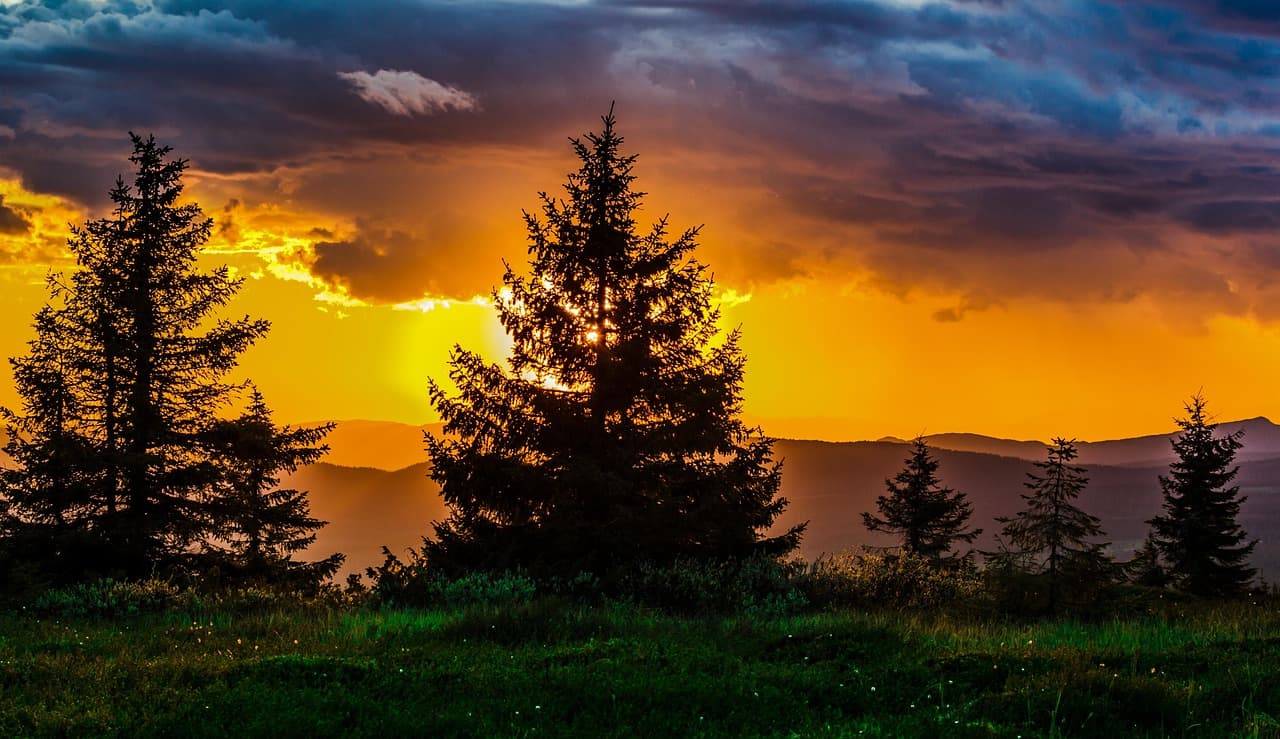 sunset, trees, grass, field, meadow, mountains, silhouettes, tree silhouettes, conifers, coniferous, evergreen, clouds, sky, dusk, twilight, nature, landscape, sunrise, sunset, trees, trees, trees, field, nature, nature, nature, nature, landscape, landscape, sunrise, sunrise, sunrise, sunrise, sunrise [pid:850873][dark]