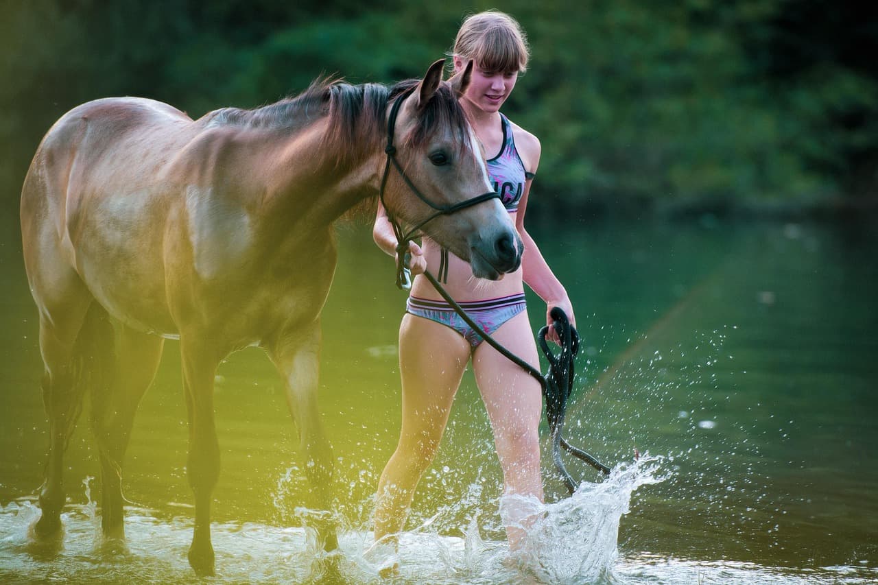 horse, friendship, teenager, nature, travel, adventure, animal, mammal, pony, girl, yearling [pid:6657994]