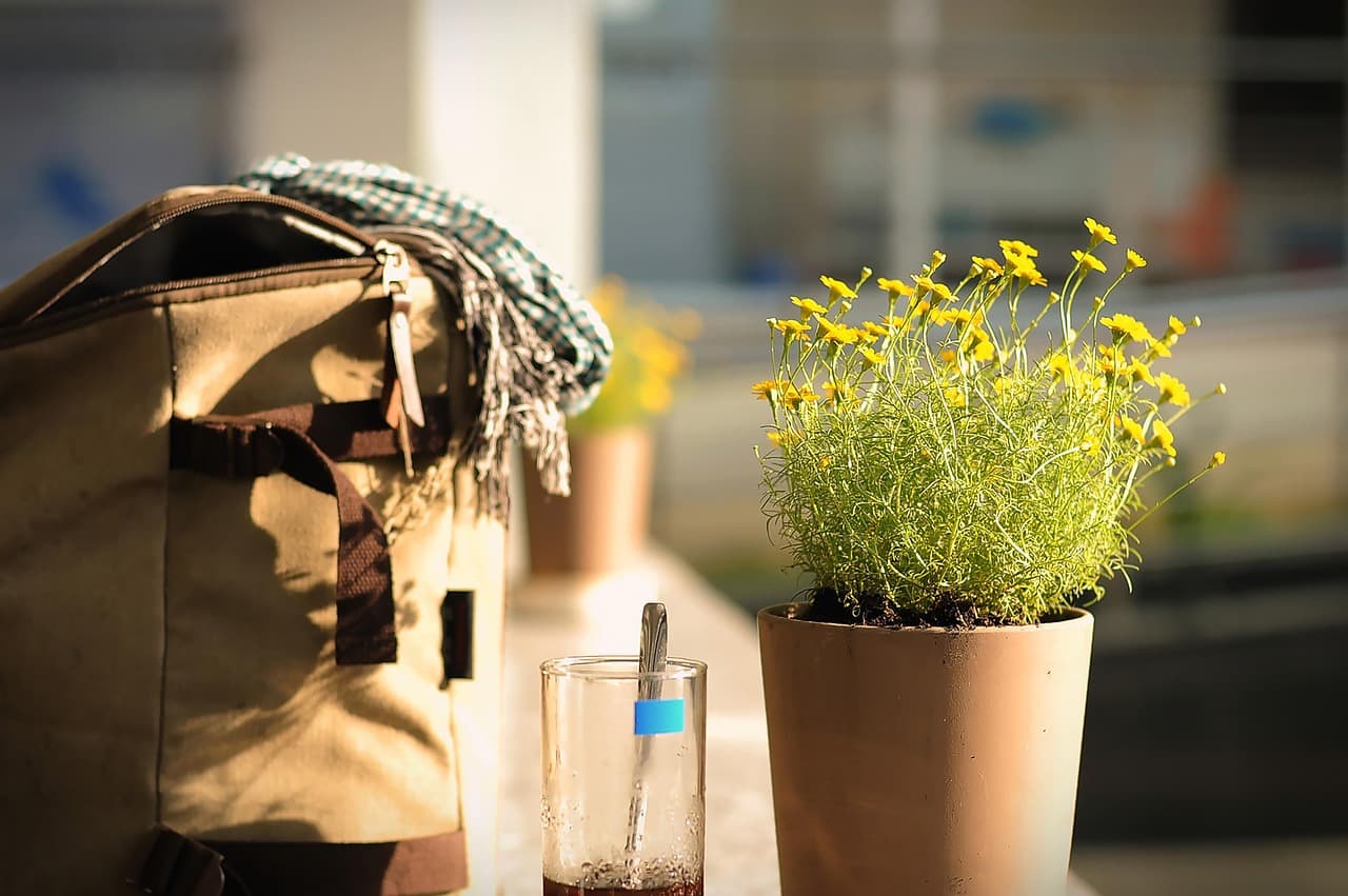 bag, lifestyle, asian, vietnam, morning, life, shopping, flower background, backpack, young, flower wallpaper, share, people, travel, city, walking, beautiful flowers, happy, adult, summer, memory, trip, relax, light, nature, flower, coffee, cafe, street, brown shopping, brown walking, brown shop, brown memory [pid:4035620]